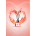 Aromadifuzer 'Plamena Strast'