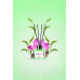 Aromadifuzer 'Cvet lotosa'